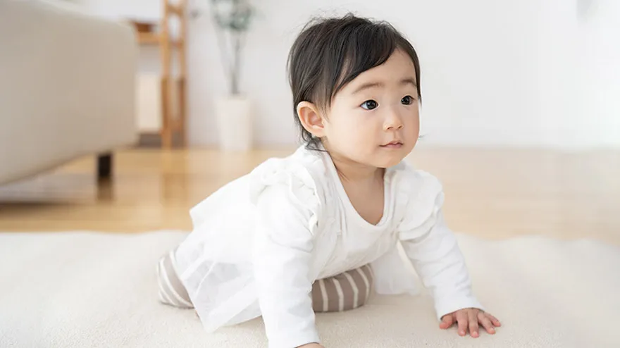 無垢材フローリングで遊ぶ赤ちゃん、食品衛生基準を満たしている安全な自然素材